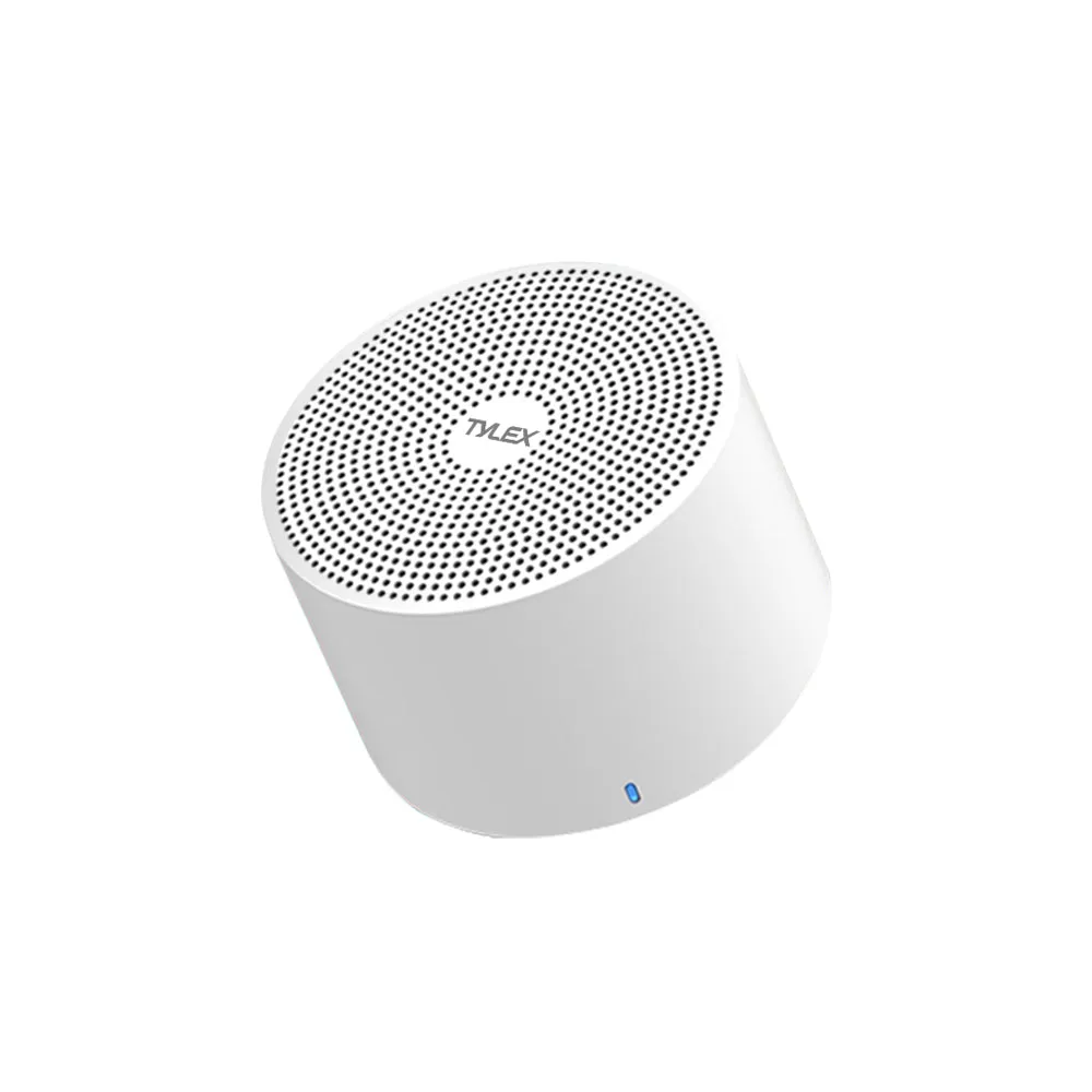 Portable Bluetooth Speaker (C11)